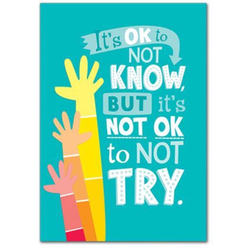 CTP0311 Its Okay not to Know...Poster