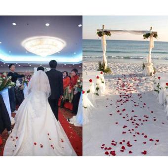 500Pcs Simulation Silk Rose Petals For Wedding Decor Party Bright Red New June 2018 - 5 500Pcs Simulation Silk Rose Petals For Wedding Decor Party Bright Red New - 5