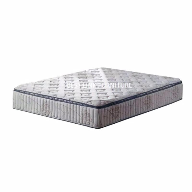BEST LINK FURNITURE BLF Sleeping Beauty 10 Inch Pocketed Spring Mattress(Queen)