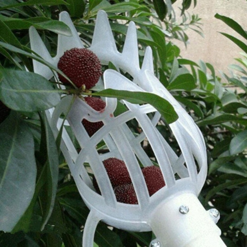 Plastic Fruit Catcher Gardening Farm Garden Hardware Picking Device Tool - intl