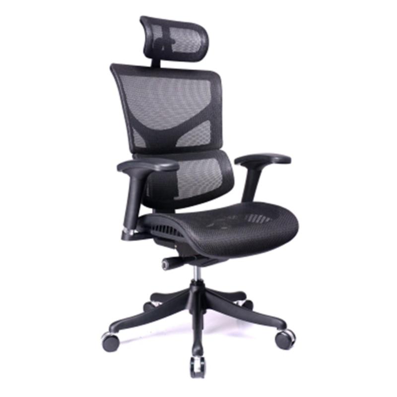 SAIL Serial Ergonomic Office Chair (Black)(Installation Option Available) Singapore
