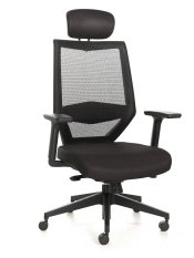 Tengri Mesh Office Chair High Back Singapore