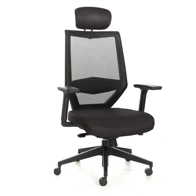 Tengri Mesh Office Chair High Back Singapore