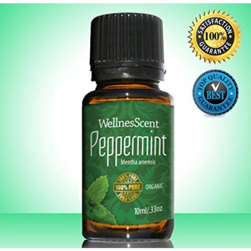 Buy Peppermint Essential Oil 100% Pure Organic & Therapeutic Grade,
Used in Aromatherapy -10 Ml Mentha Arvensis Singapore