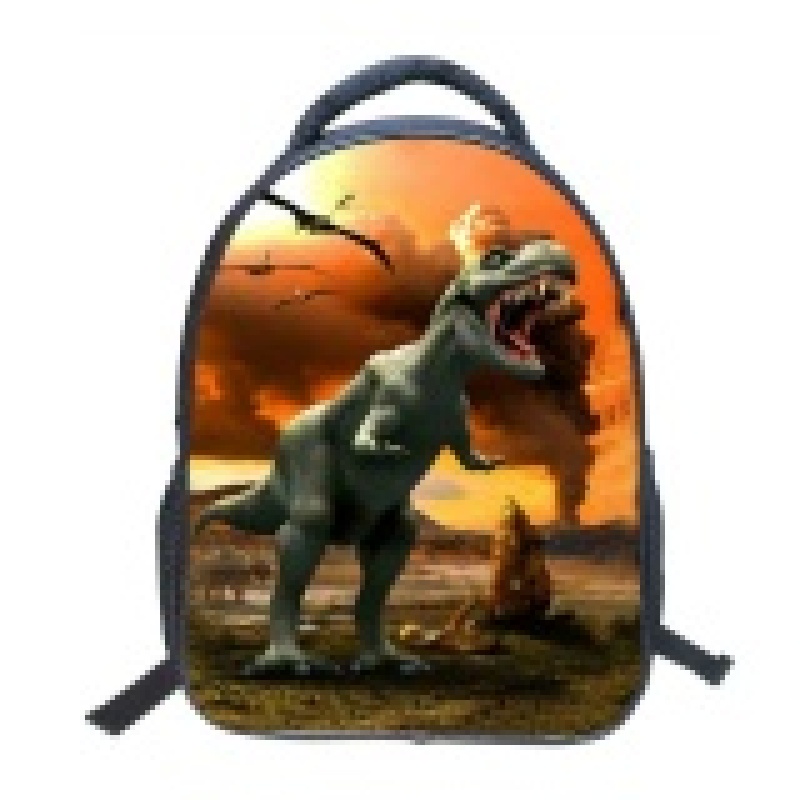 Boys Cartoon Dinosaur Backpacks School Bags-Orange - intl